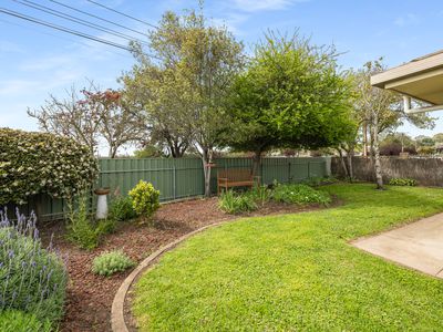 1 / 2A Arbor Street, Mount Gambier