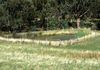 1495 Cargo Road, Orange