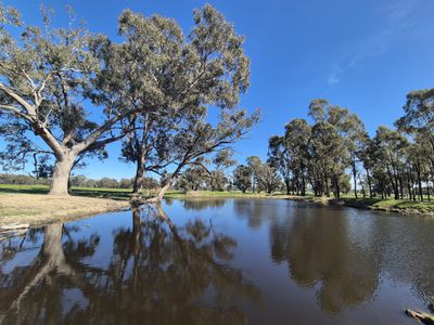 Lot 1  10 Dunnings Road, Balmattum