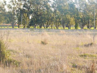 899 River Road, Murrabit West