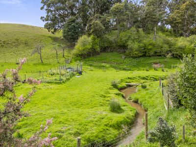7572 Channel Highway, Cygnet