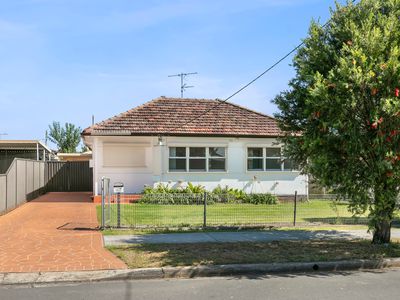 41 Dunbier Avenue, Lurnea