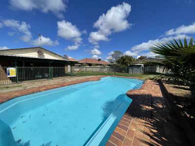 8 Norfolk Crescent, Dubbo