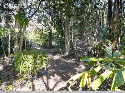 4 Chantilly St, Urangan