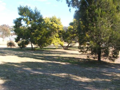 Emmaville