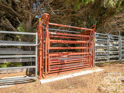 387 Shannon Vale Road, Shannon Vale