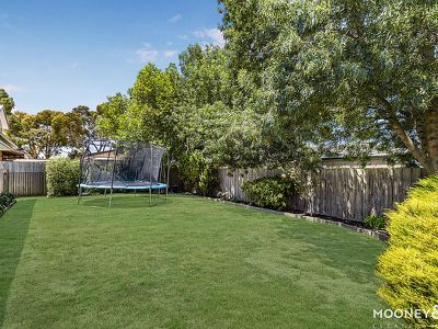 15 Ferndown Drive, Cranbourne