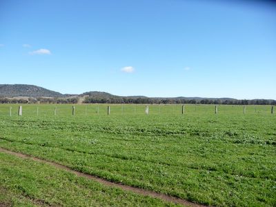 Beechworth-Chiltern Road, Chiltern