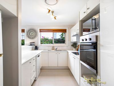 16B Oak Avenue , Surfers Paradise