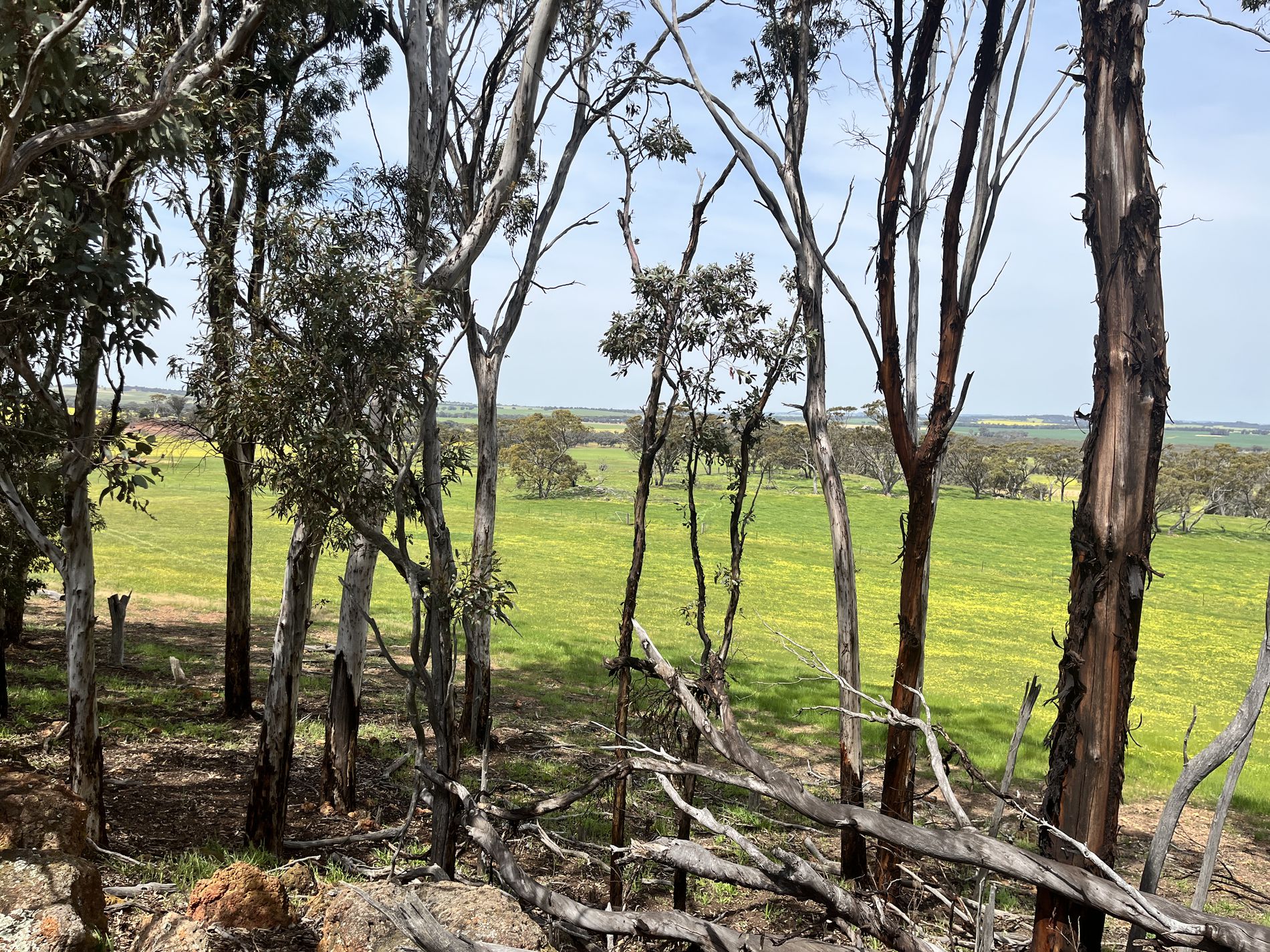 547 Bunmulling Road, Popanyinning