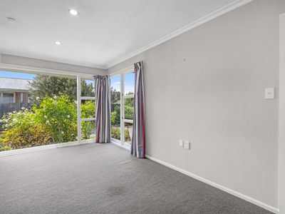 161 Waimairi Road, Ilam