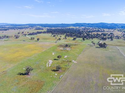 391 Carrot Farm Road, Deepwater