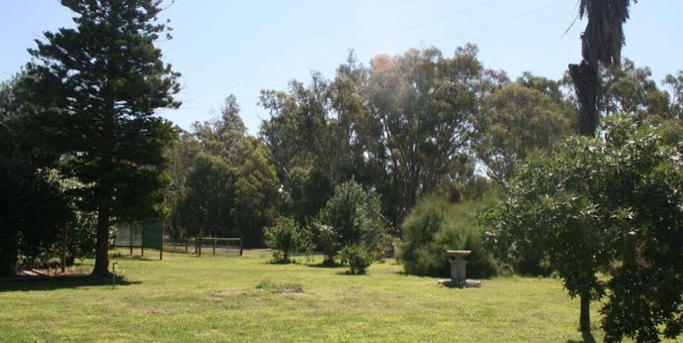 11 Dunns Lane, Euroa