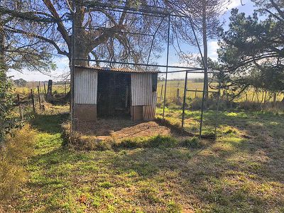 79 Duttons Lane, Tallwood
