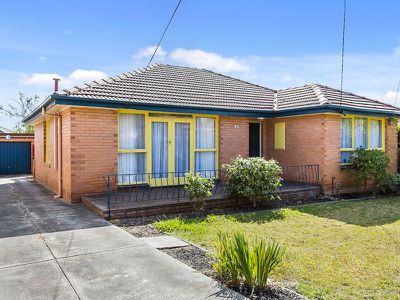 43 Hibiscus Road, Blackburn North