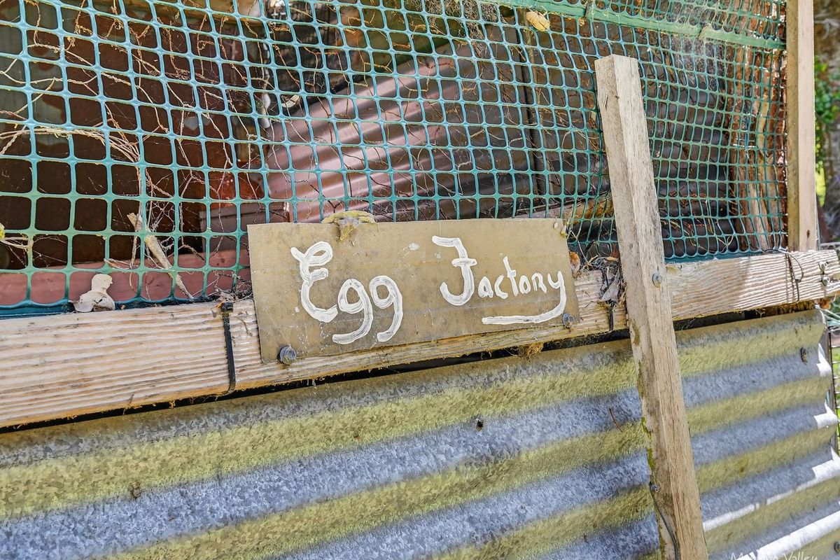 90 Tallowood Lane, Hannam Vale