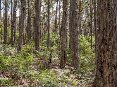 Lot 1, Sandhill Road, Cradoc