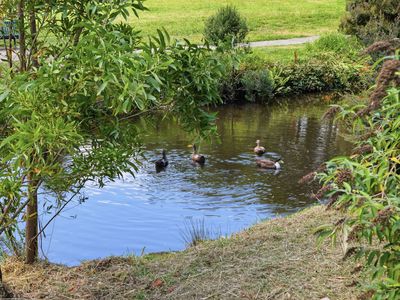 6 School Road, Geeveston
