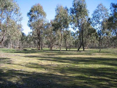 LOT 11 O'BRIENS COURT, Heathcote