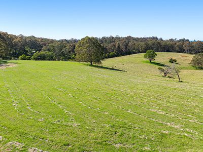 79 Wagonga Scenic Drive, Narooma