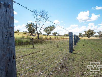 Lot 7, - Emmaville Rd, Emmaville