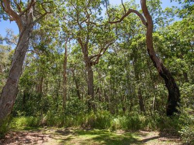 55 Lake Flat Road, Boreen Point