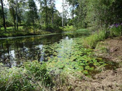 4310 Mary Valley Road, Kenilworth