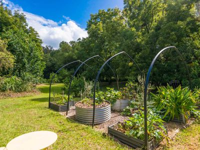 188 Stony Chute Road, Nimbin