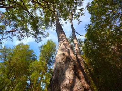 709 Kaban Road, Kaban