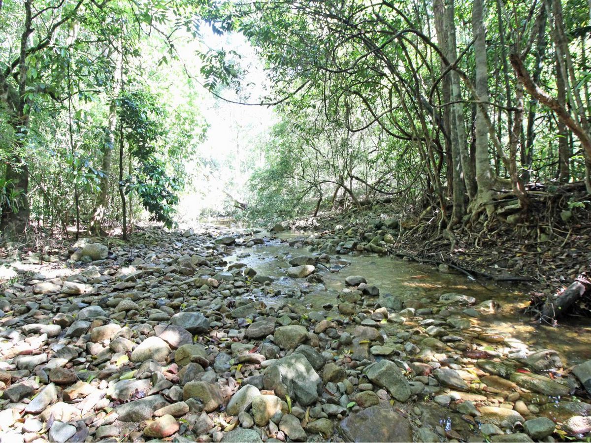 Atherton
