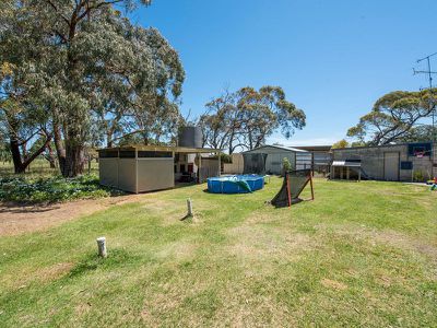 776 Tantanoola Rd, Tantanoola