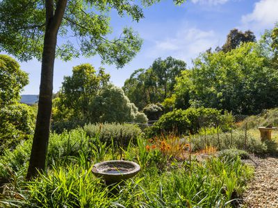 486 Mitchell Road, Tatong