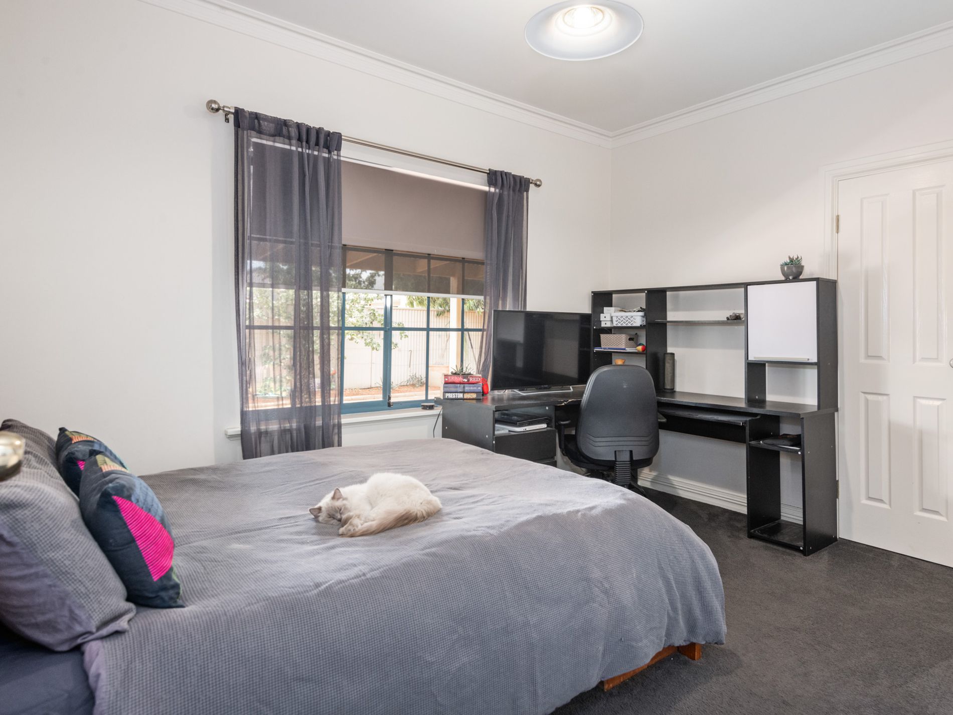 31 Gatacre Drive, Somerville