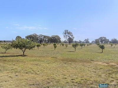 291 Killeens Lane, Heathcote