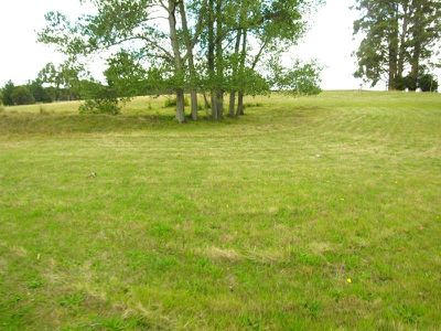 Reids Road, Cradoc