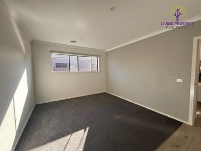 115 Countess Drive, St Leonards