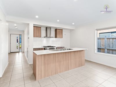 13 Aylesbury Avenue, Truganina