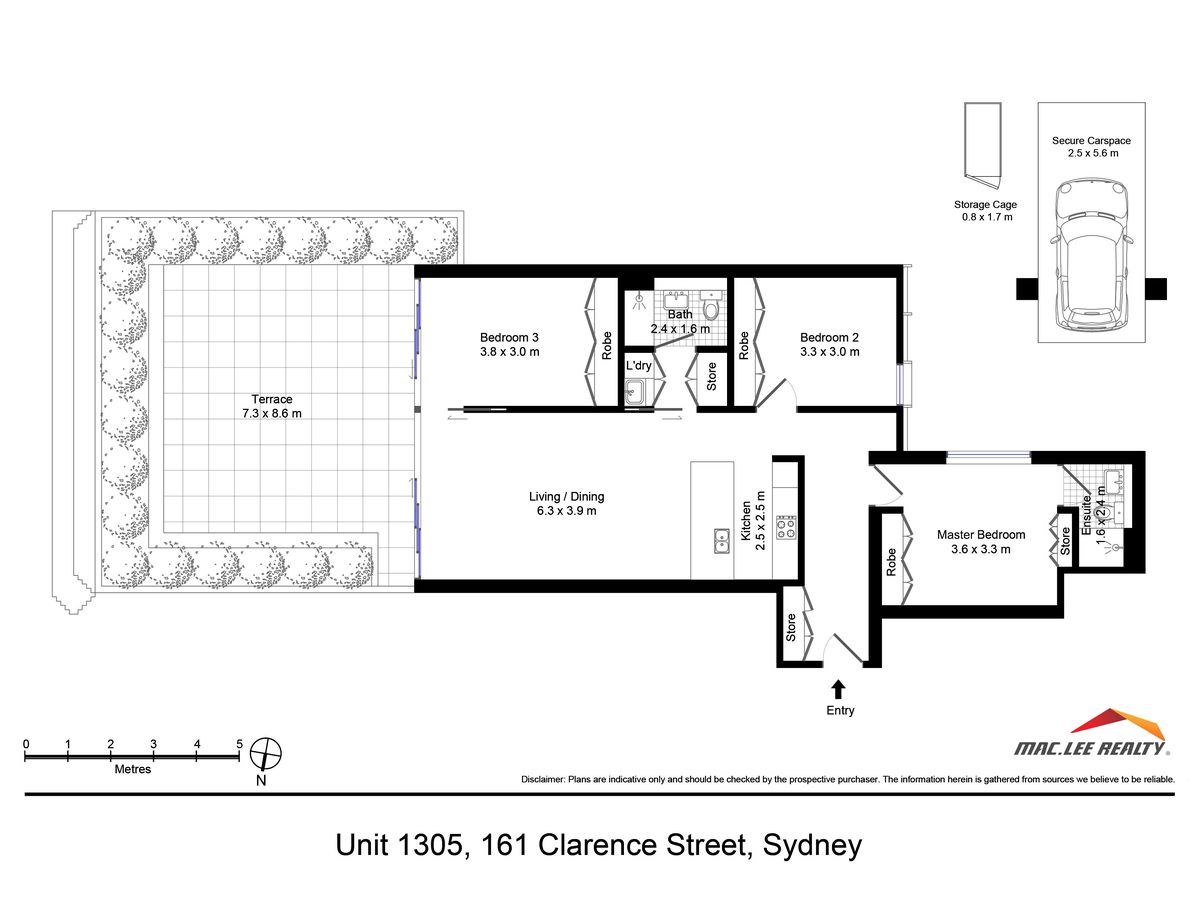 1305 / 161 Clarence Street, Sydney