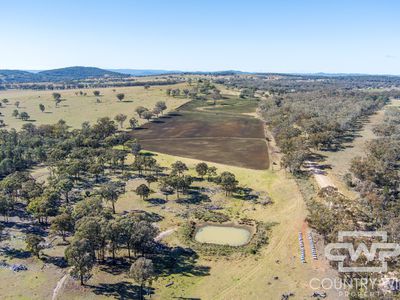 Lot 8, - Emmaville Road, Emmaville