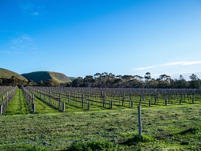 4 / 55 The Vines Drive, Normanville