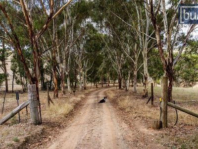 10 Service Basin Road, Yackandandah