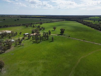 'Burnside' 1009 Howlong-Balldale Road, Balldale