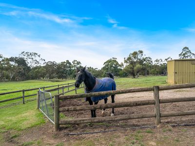 20 Scrubby Creek Road, Whittlesea
