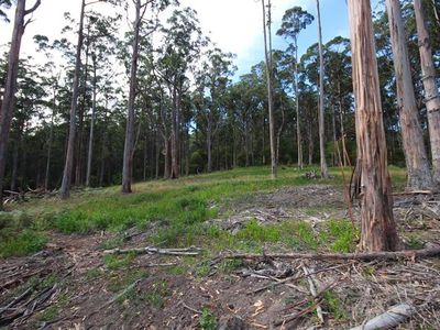 Lots Off Oakfords Road, Lower Wattle Grove