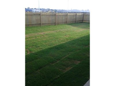 63 Abby Drive, Gracemere