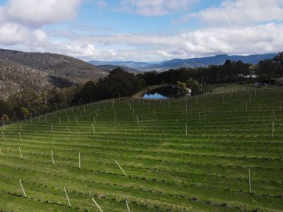 Lot 1, 1529 Huon Highway, Lower Longley