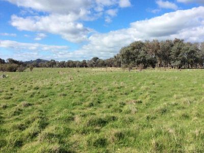 Settlers Road, Chiltern