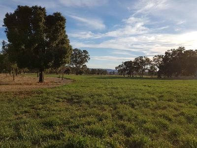 458 Sir Ivan Dougherty Drive, Dunedoo