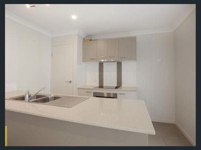 1 / 11 Essington Mews, Leichhardt