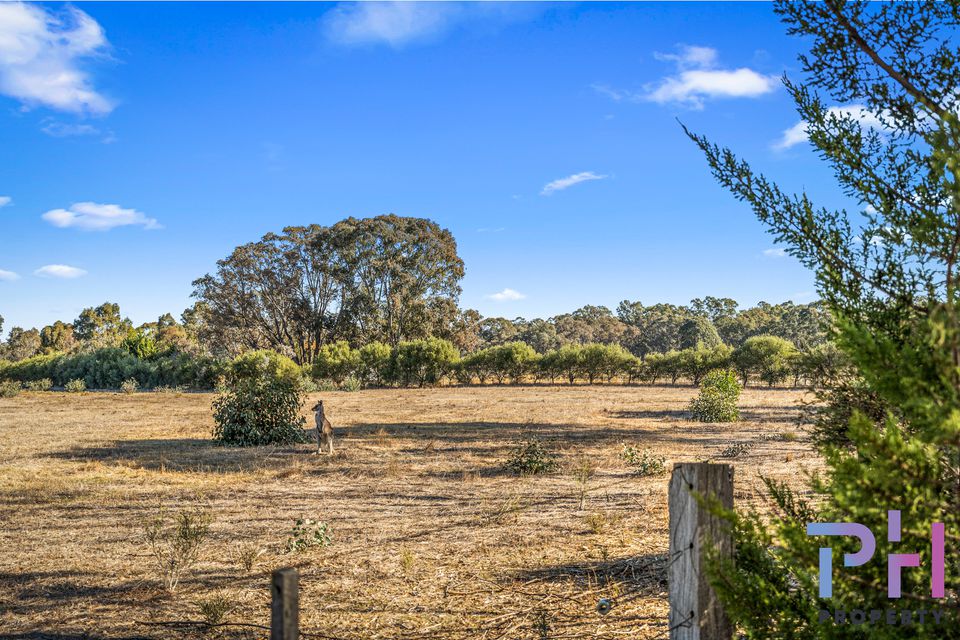 19 Trent Court, Axe Creek